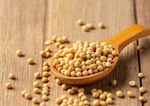 Wie und wann man Lecithin richtig einnimmt