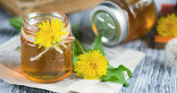 Zichoriensirup - eine wirklich gesunde Alternative zu Zucker