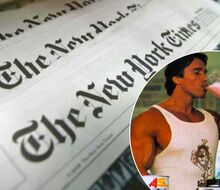 Proteine bringen dich nicht um! Aber was die „New York Times“ darüber behauptet, ist zum Kotzen...