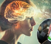 Brain on empty? Creatine acts as a backup generator when coffee isn't enough!