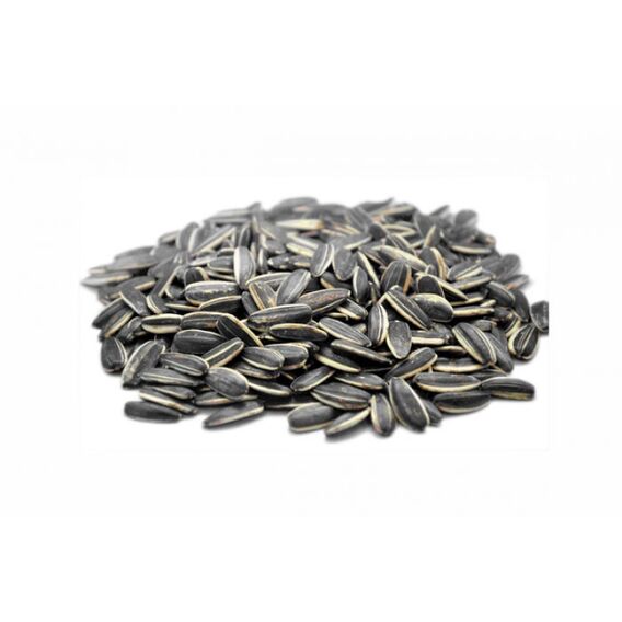 LifeLike Sunflower seeds