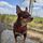 Marek Křivánek