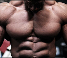 Wave carbohydrate diet and strength