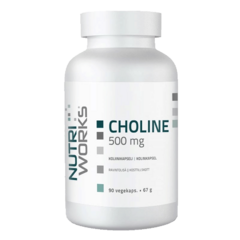 NutriWorks Choline 500mg