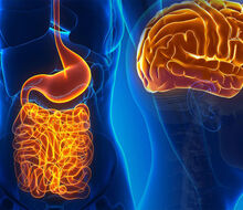 How does the state of the gut biome affect our psyche?