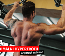 Back training for maximum hypertrophy | BACK