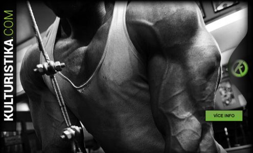 A simple program for comprehensive results | kulturistika.com