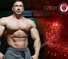 Aleš Bursa answers your questions #1