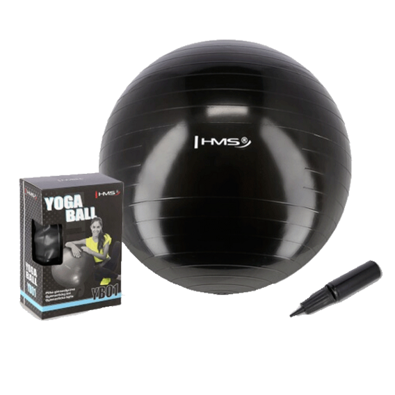 HMS Gymnastics ball YB01N