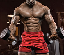 Create an excellent "six-pack" on your stomach with eight simple exercises!
