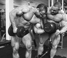 Extriphitics Slavoj Bednar and Pavel Koukal at the joint arm training