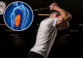 Giant triceps without destroyed elbows? Science has the solution!