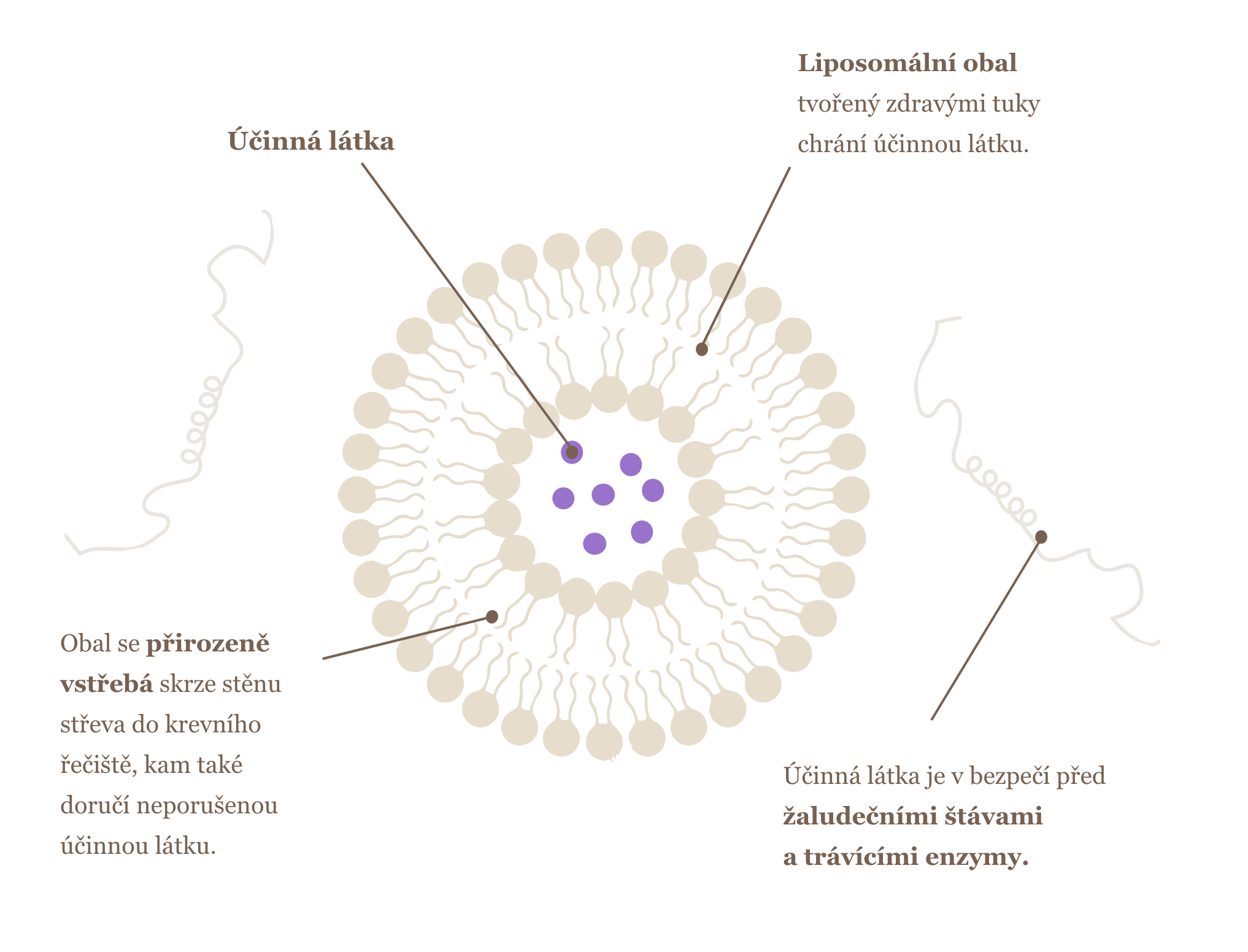 infografika