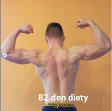 Jan Veselý