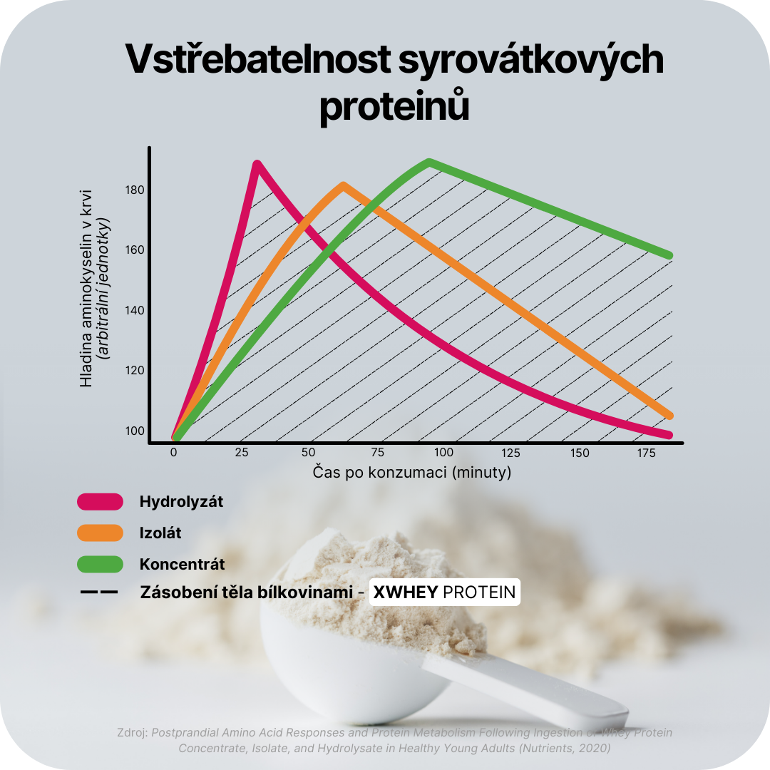 Infografika