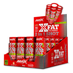 Amix XFat 2in1 SHOT