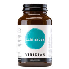 Viridian Echinacea