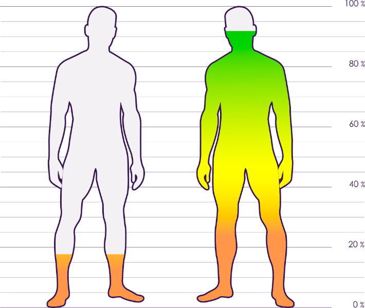 infografika