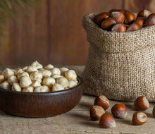 Lískové ořechy jsou nabité vitamíny! Průvodce ořechy