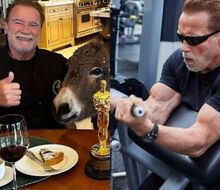 "Pokud chcete lepší výsledky, přestaňte hledat kouzelnou pilulku,“ říká Arnold Schwarzenegger!