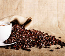Kofein, nejlepší a nejvyužívanější stimulant