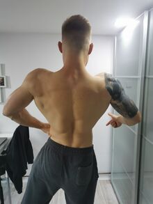 Daniel Viezan