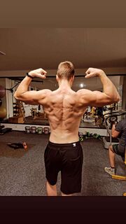 Radoslav Budiš
