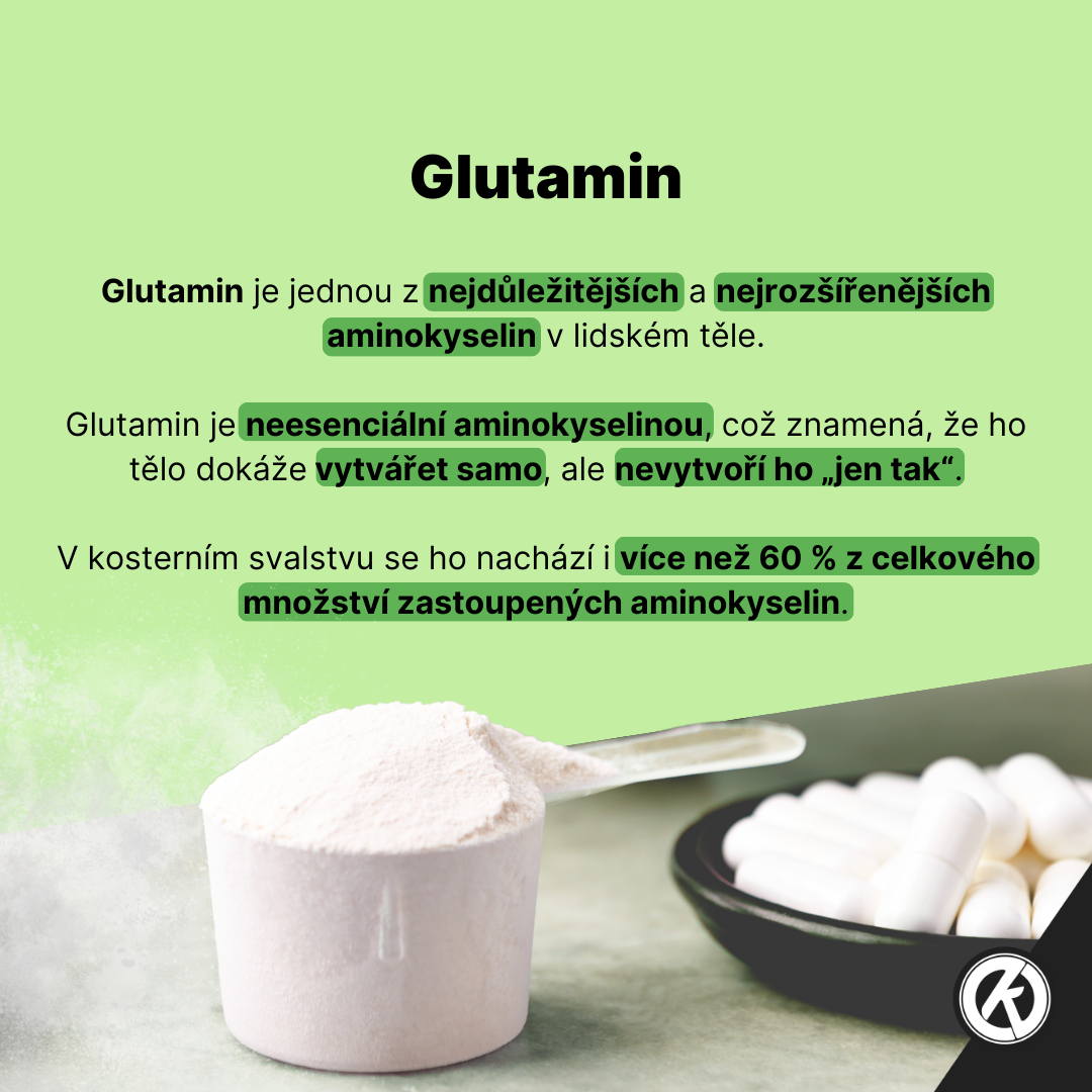 GymSupps L-Glutamine - infografika
