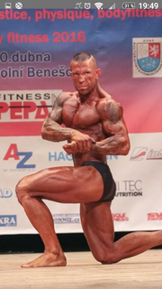 ladislav škoda
