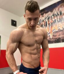 Vojtech Honis