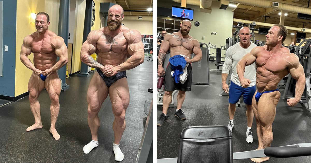 kontrola formy New York Pro
