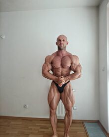 Vladimír Holota