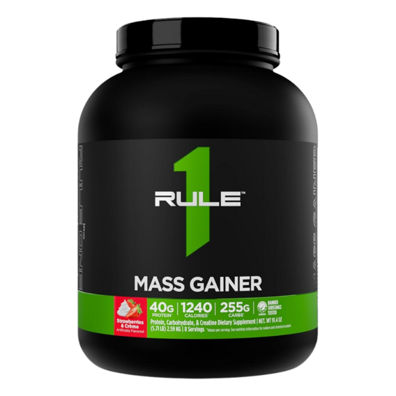 Zasada 1 Mass Gainer