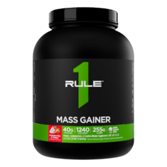 Rule 1 Mass Gainer