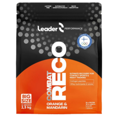 Leader Reco Combat