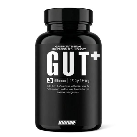 Big Zone Gut+