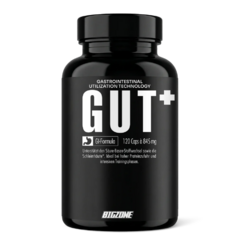 Big Zone Gut+
