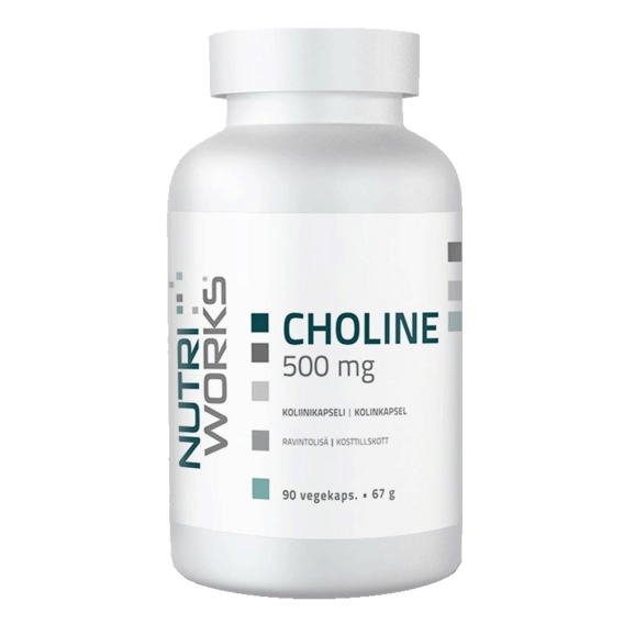 NutriWorks Cholina 500 mg
