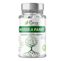 Revix Mozek a Paměť