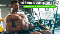 Plan treningowy dla fazy objętościowej | Trening pleców, biceps 3/5