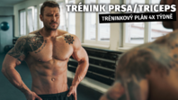 Trening piersi i tricepsów | Nowy plan treningowy | 4x w tygodniu