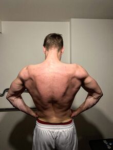 David Frnka