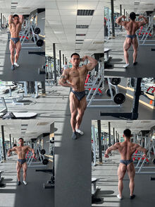 Tung Linh Bui