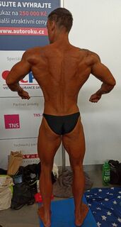 David Mrázek