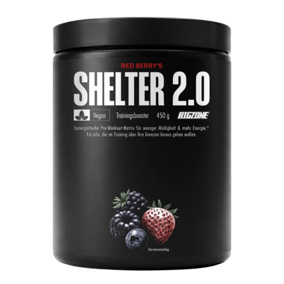 Big Zone Shelter 2.0