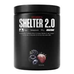 Big Zone Shelter 2.0
