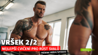 Horný/spodný tréningový plán | Najlepšie cviky na hornú časť tela pre rast svalov | 2. časť