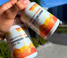 Zabijak kortizolu a zápalov: Prečo by si mal kombinovať Biocurcumin BCM-95 a Ashwagandhu KSM-66?