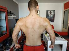 Michal Libovický