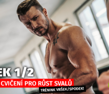 Horný/spodný tréningový plán | Najlepšie cviky na hornú časť tela pre rast svalov | Časť 1